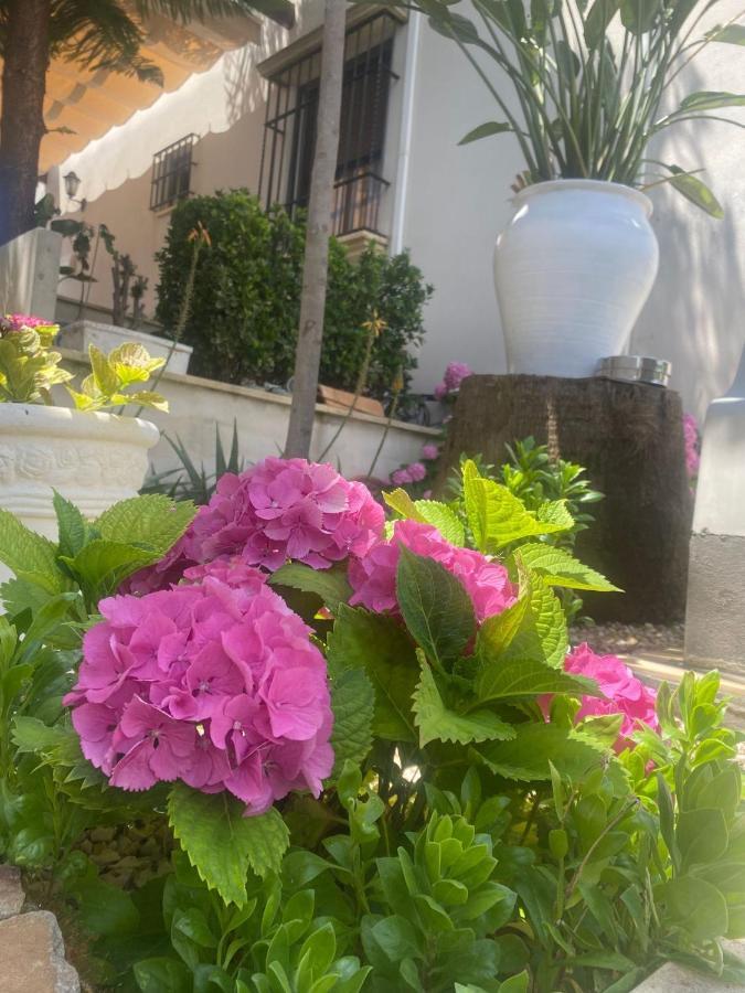 קורדובה Casa Los Encinares מראה חיצוני תמונה