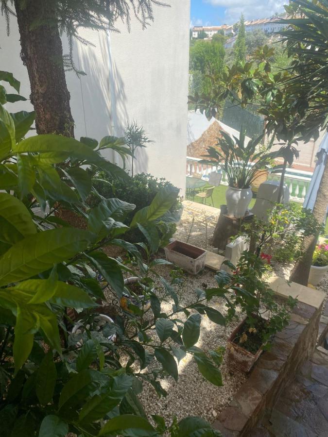 קורדובה Casa Los Encinares מראה חיצוני תמונה